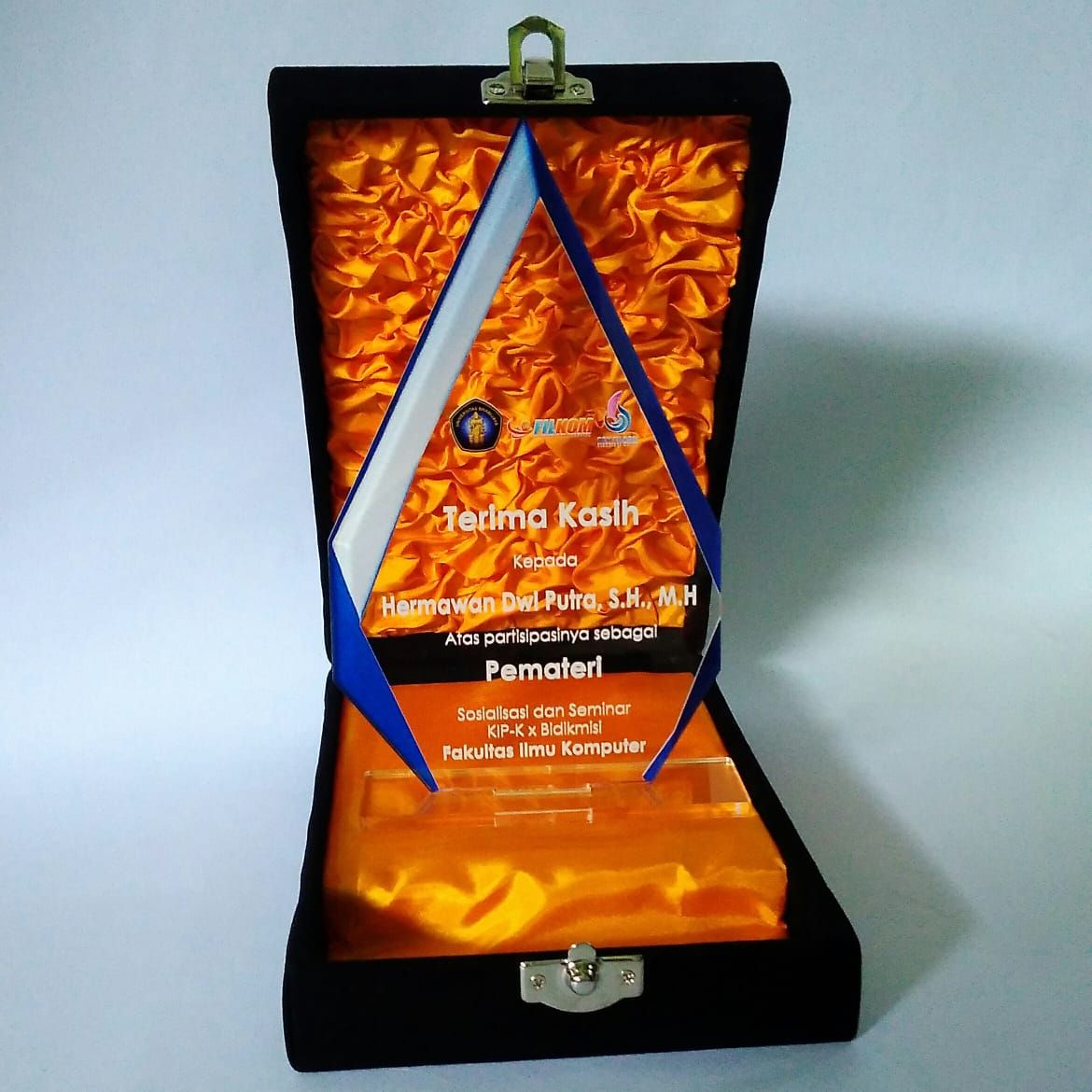 Boucliers de cristal professionnels