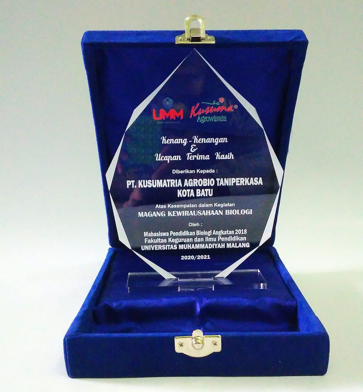Boucliers de cristal professionnels